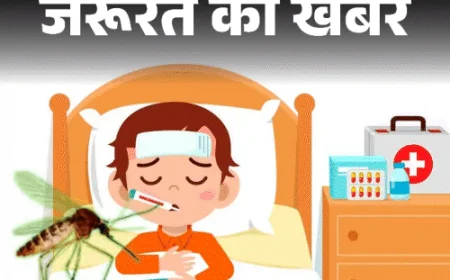 जरूरत की खबर- मलेरिया पैरासाइट लिवर में क्यों छिपते हैं:कंपकंपी और बुखार हो तो तुरंत कराएं जांच, जानें बचाव के 7 आसान उपाय
